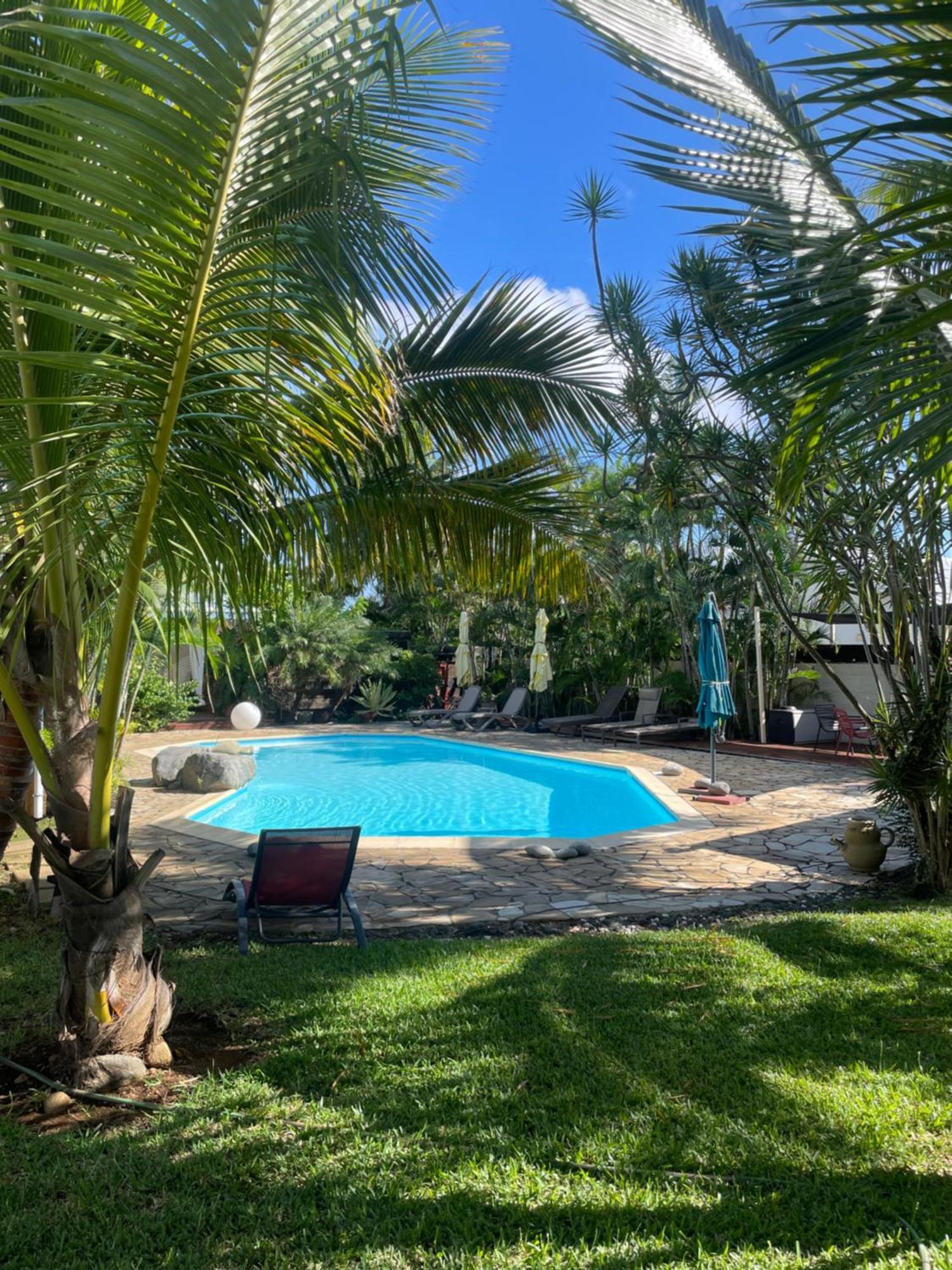 Villa Albizia 974 Avec Piscine Et Spa Saint Pierre Exterior photo